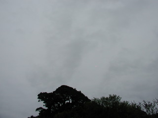 明日の天気は・・・?