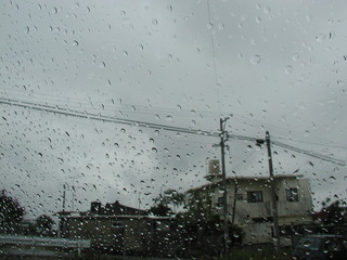 いよいよ梅雨入り