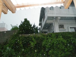 雷、落ちた・・・?