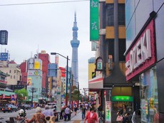 10月・東京出張のご案内です。 10月・東京出張のご案内です。