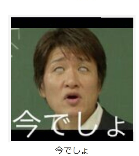 ★タマンいないね★