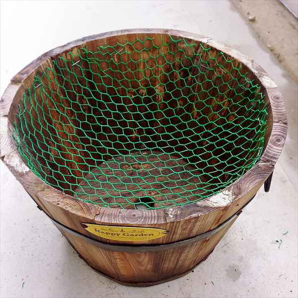 育成鉢?にチャレンジ 育成鉢?にチャレンジ
