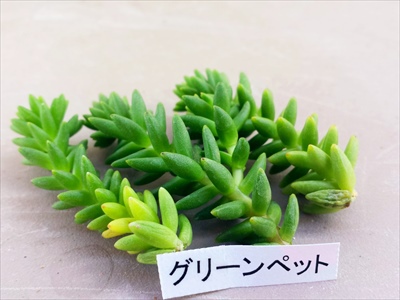 アソコから届いたアレ!○○○便(●` 艸 ´) アソコから届いたアレ!○○○便(●` 艸 ´)