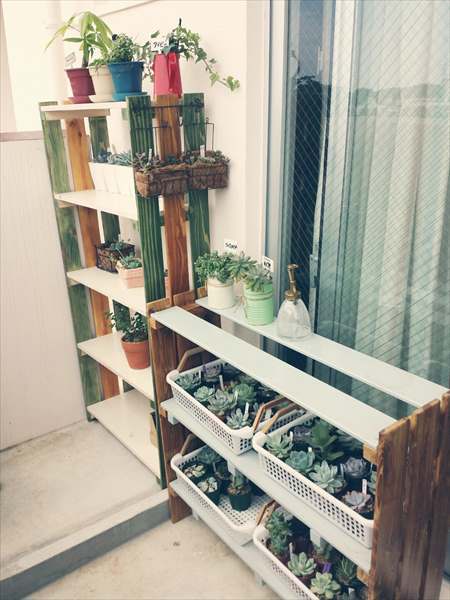 ついに完成したぜよー♡ ついに完成したぜよー♡
