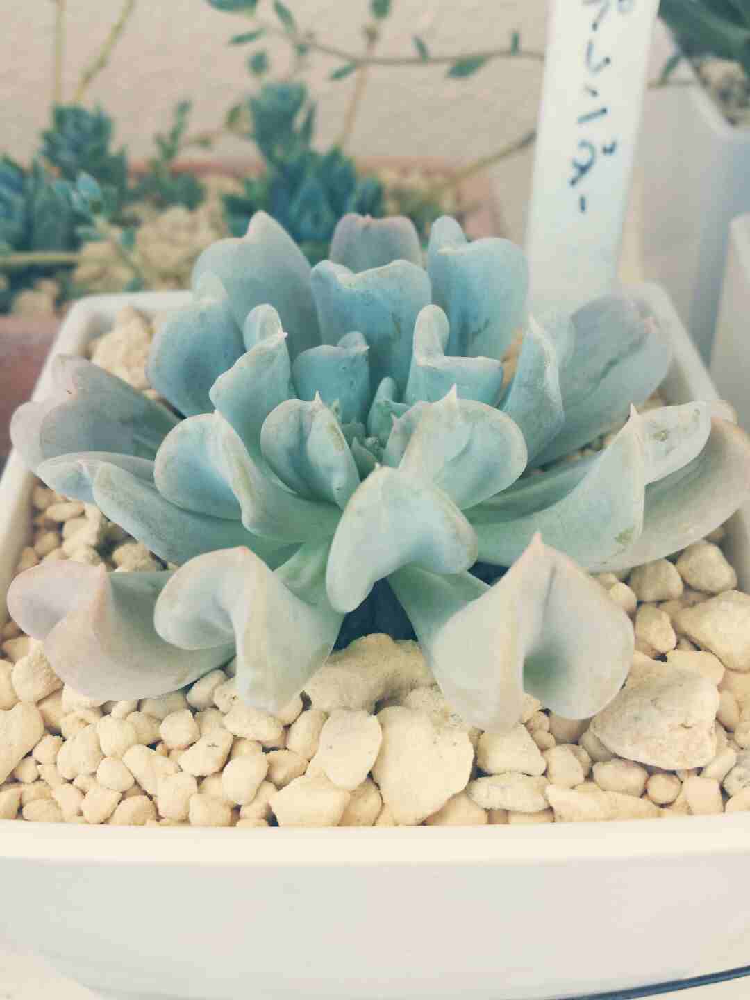 デコレーション♡ デコレーション♡