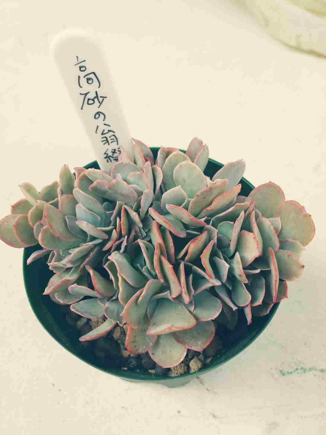 やっぱり狩っちゃうよねぇヽ(´∀`。)ノ やっぱり狩っちゃうよねぇヽ(´∀`。)ノ