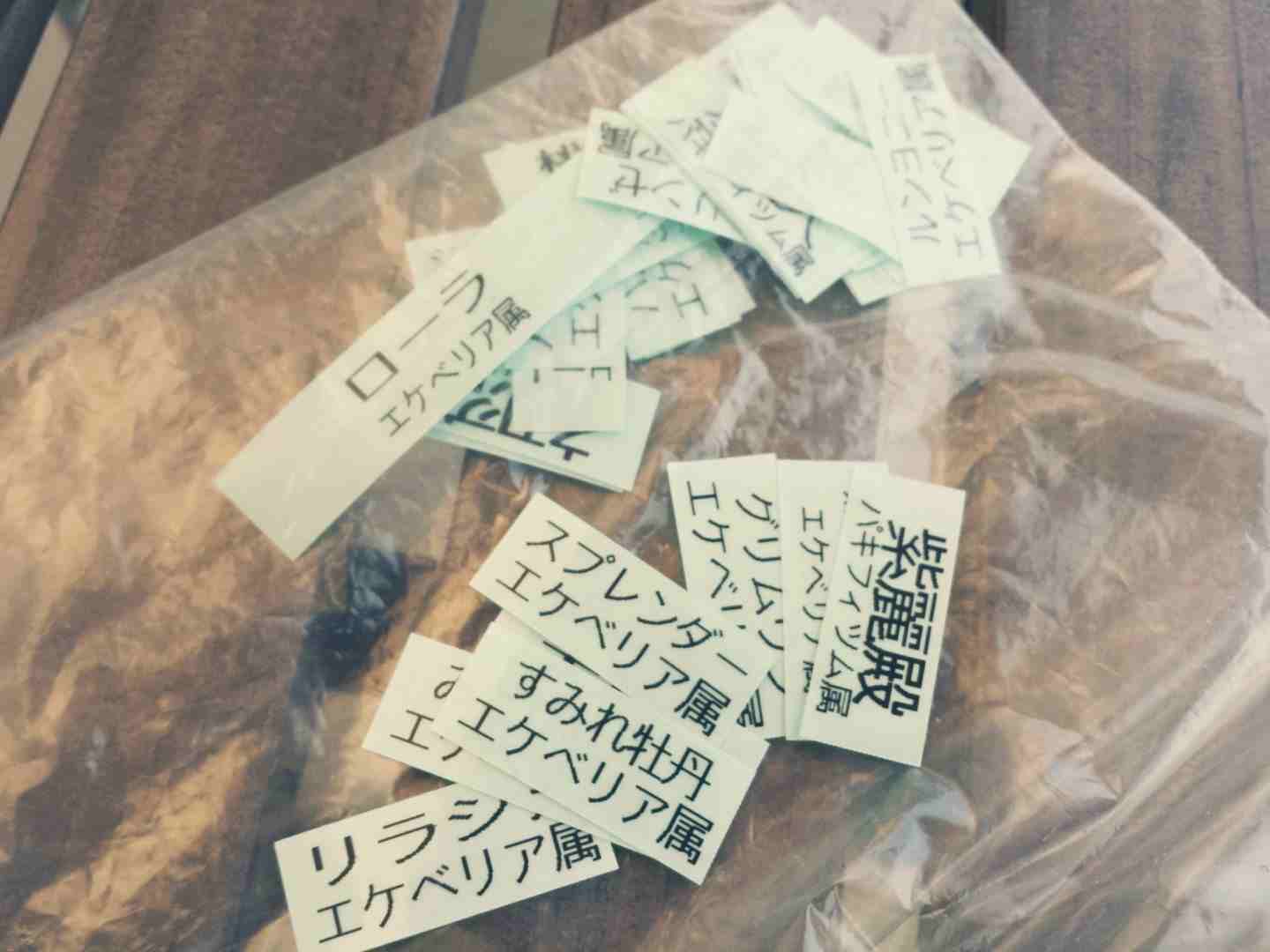 ラベリングをしましょ( ・∇・) ラベリングをしましょ( ・∇・)
