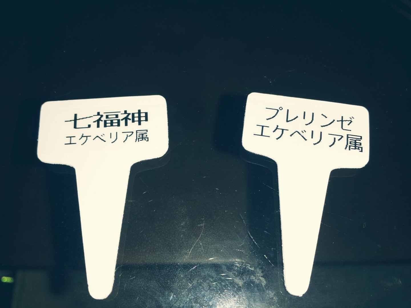 ラベリングをしましょ( ・∇・) ラベリングをしましょ( ・∇・)