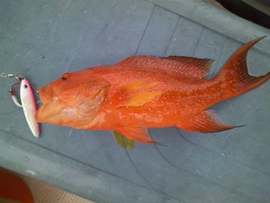伊江島釣行