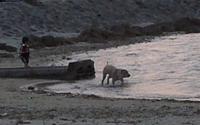 それでも、海と