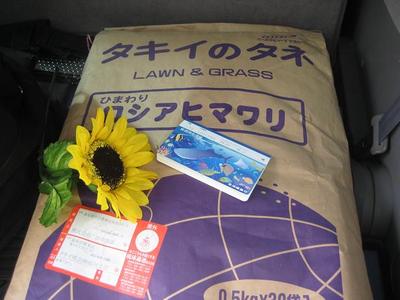 ど~んと大きく動きましたw(*゚o゚*)w