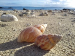 金武の海は遠かった…。