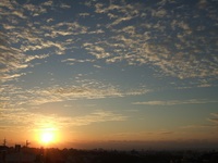2011年12月08日