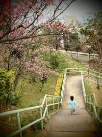 2012年02月14日
