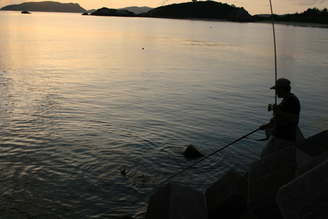 好きな島