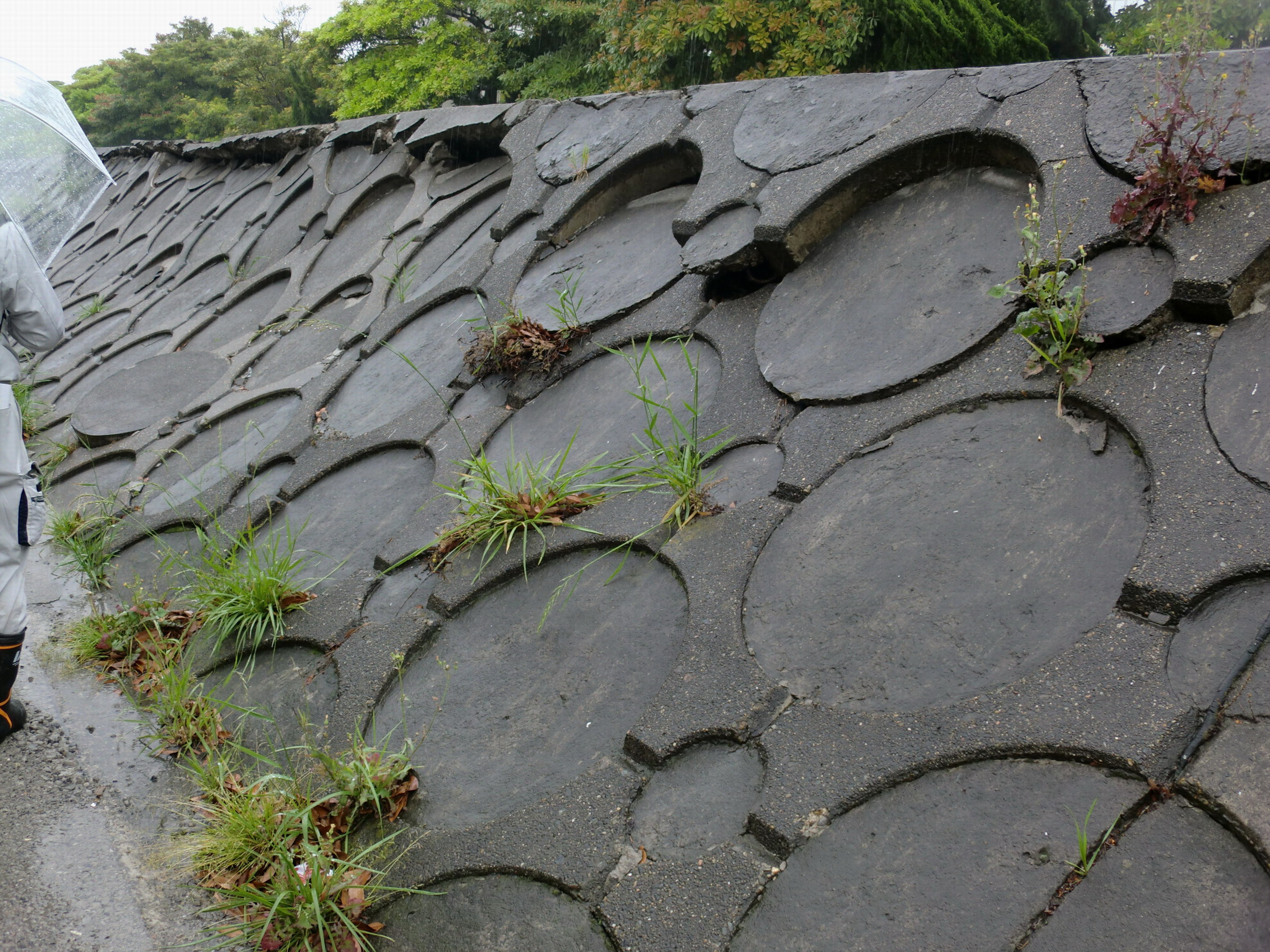 千葉県浦安の埋め立て地の液状化の被害