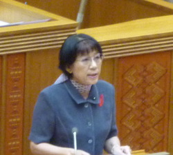 県立浦添看護学校の民営化議案が継続審議に
