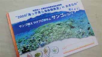 沖縄の夏を満喫♪
