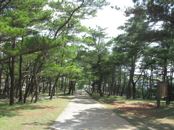・・・座喜味城跡・・・