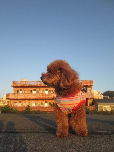 ◇◇初夕日◇◇