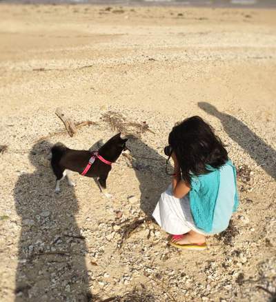 看板犬、ツバキの新たな発見! 看板犬、ツバキの新たな発見!