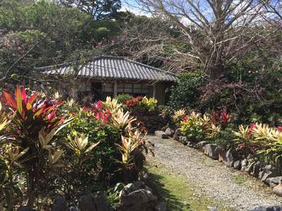 入園料100円のパワースポット 入園料100円のパワースポット