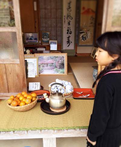 入園料100円のパワースポット 入園料100円のパワースポット
