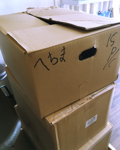 へちま入荷しました(≧∇≦) へちま入荷しました(≧∇≦)