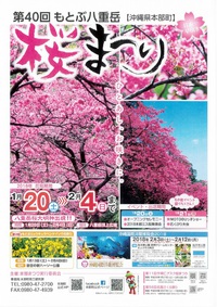 もとぶ八重岳桜まつり会場は桜が満開!日本一早い桜まつりで知られる本部町八重岳で、2018年初めての花見を満喫! もとぶ八重岳桜まつり会場は桜が満開!日本一早い桜まつりで知られる本部町八重岳で、2018年初めての花見を満喫!