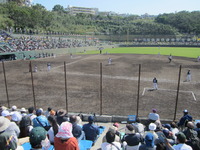 阪神タイガース vs 東京ヤクルトスワローズ　プロ野球オープン戦　2013