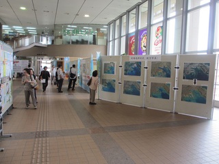 ☆パネル展示会実施(途中)報告☆ ☆パネル展示会実施(途中)報告☆