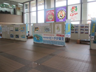 ☆パネル展示会実施(途中)報告☆ ☆パネル展示会実施(途中)報告☆