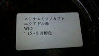 efdenさんより 着弾!! efdenさんより 着弾!!