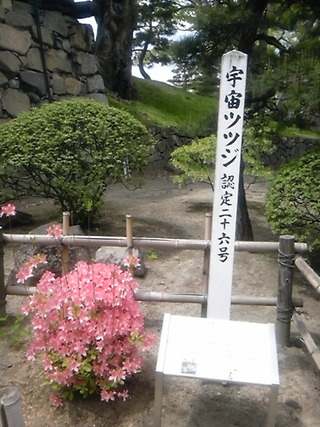 国宝 松本城
