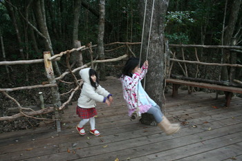 やんばる学びの森