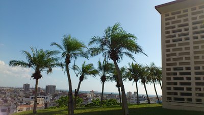 朝の風景