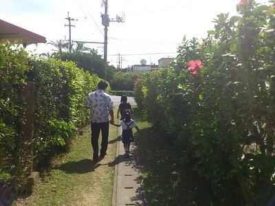ハイビスカスと にわとり。