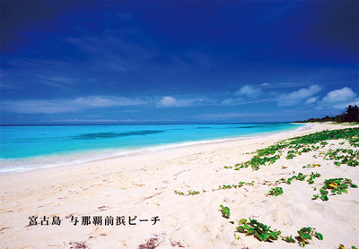 new! 世界に誇れる海もご一緒に♪