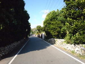 粟国村の風景