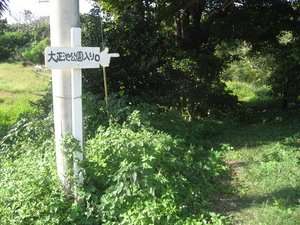 大正池公園