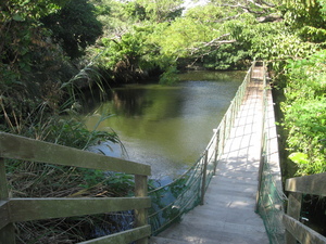 大正池公園