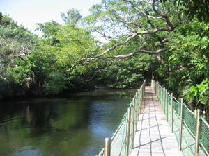 大正池公園