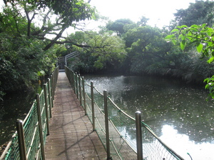 大正池公園