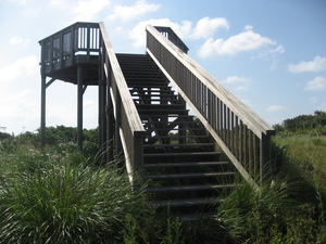 大正池公園