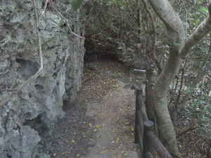 洞寺