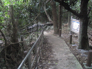 洞寺