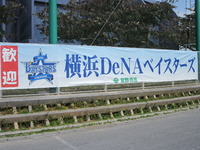 横浜DeNAベイスターズのキャンプに行ってみたら....