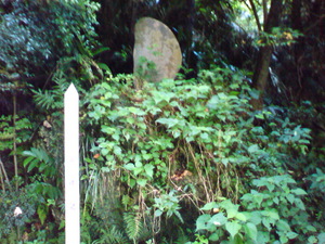 羽衣伝説 森の川