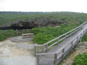 通り池