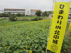 ひまわりIN北中城　北中城中学校
